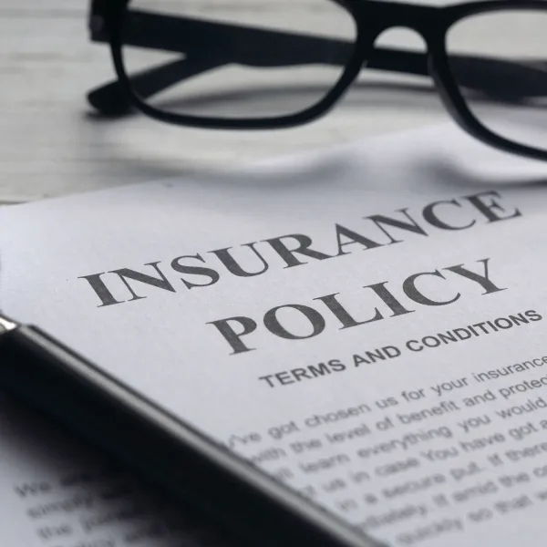 USA Business Policy Overview