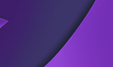 Care Sunt Etapele Legale în Lichidarea unui SRL?